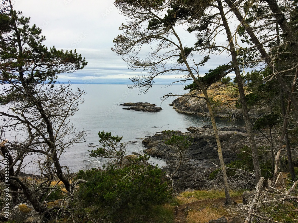 The beautiful rugged coastline of the famous east sooke coast trail along the rocky shores of southern Vancouver island overlooking the juan de fuca strait.