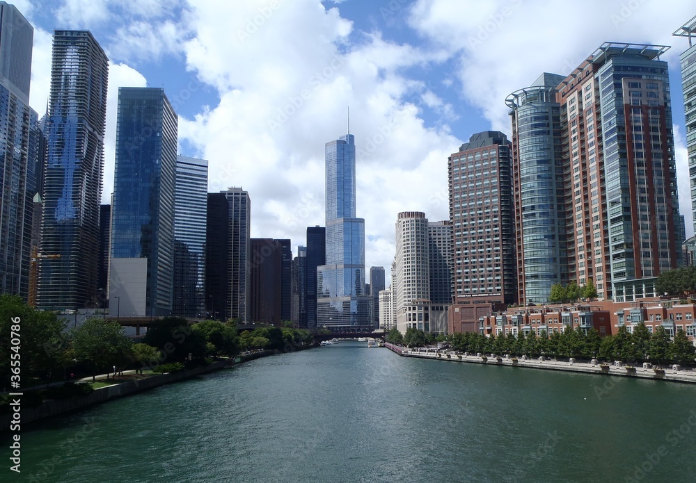 Downtown Chicago Skyline 2013