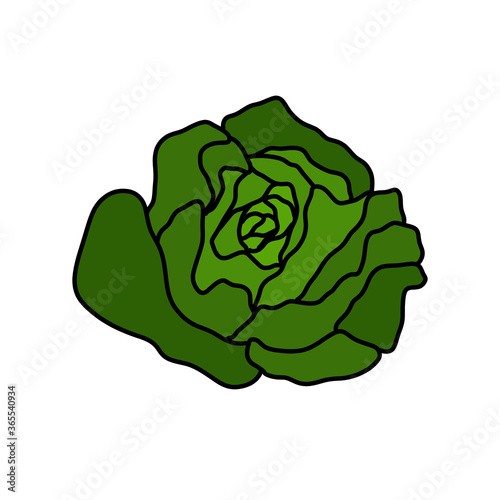 salad doodle icon, vector color line illustration