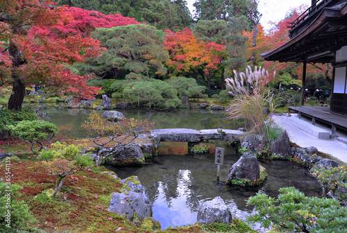 Canvas Print Breathtaking view on japanese garden in autumn