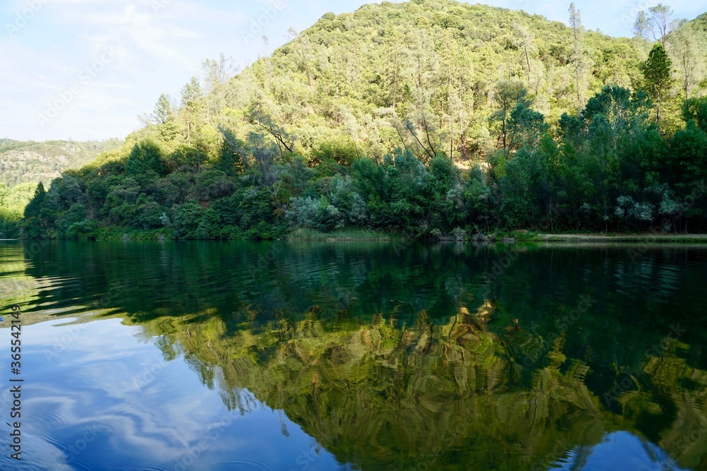 Fototapeta premium lake in the forest