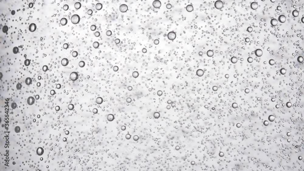 Water Drops on Glass Water Drops on Glass