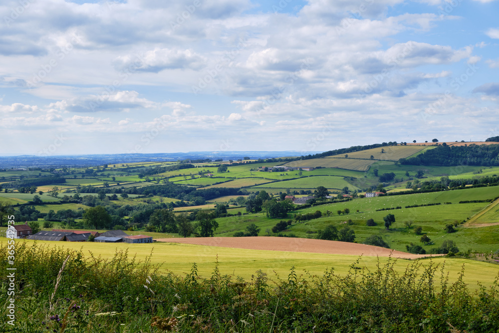A colourful view over the Yorkshire Wolds valley with bright coloured fields and trees dotting the landscape under a blue sky with clouds