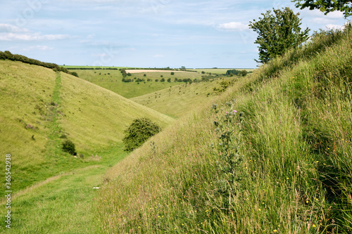 A scenic valley in the Yorkshire Wolds with wild grasses growing on the banks and the Wolds Way through the middle