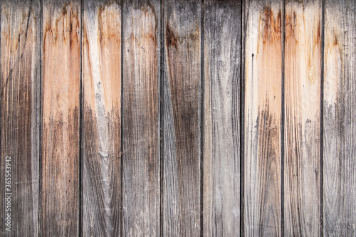 Old white wood wall panel pattern. White wooden plank texture for background.