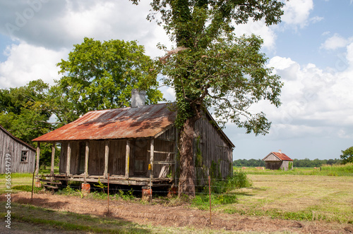 Rusty Tin Roof