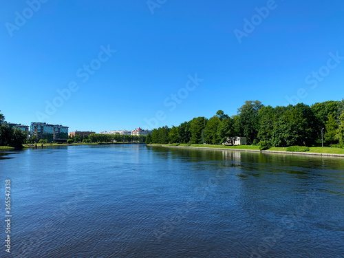 river and trees