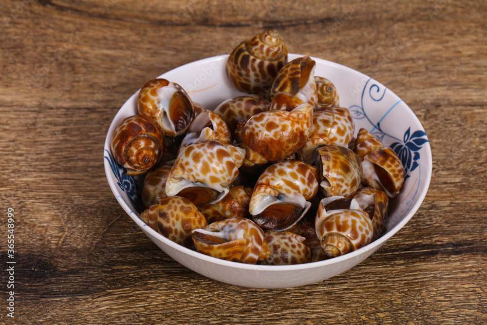 Tasty mollusk - spotted Babylon in the bowl Tasty mollusk - spotted Babylon in the bowl