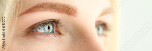 Beautiful female green and gray colored eyes
