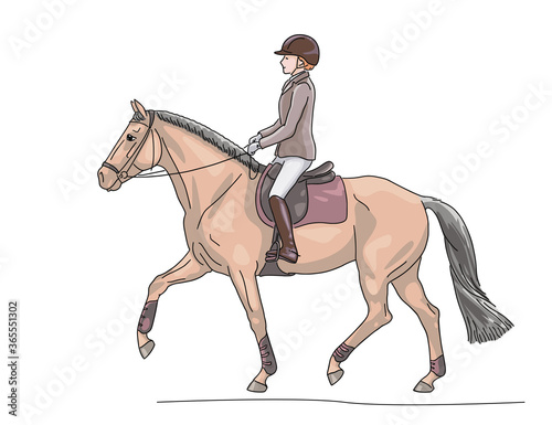 Young rider on sport pony, isolated on white background