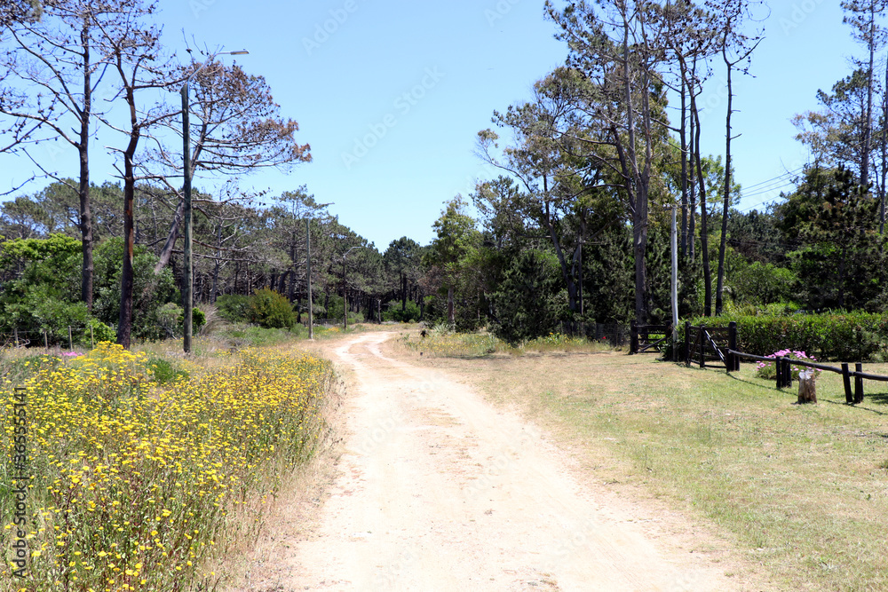 Typical dirt road in the interior of Uruguay