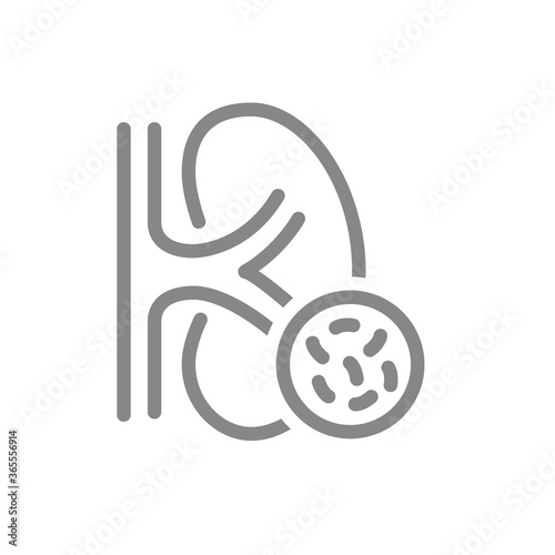 Kidney with bacteria line icon. Disease internal organ, pyelonephritis, bacterial urinary tract infections symbol