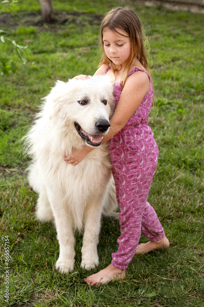 a sweet smiling girl of seven with her friend a Maremma dog on a green lawn a sweet smiling girl of seven with her friend a Maremma dog on a green lawn