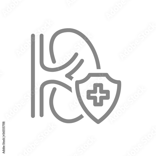 Healthy protected kidney line icon. First aid for filtering blood organ symbol