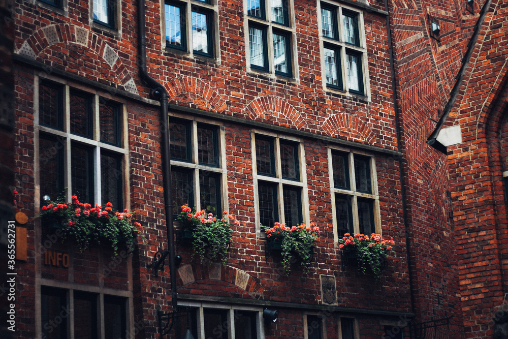 Fototapeta premium germany vibe