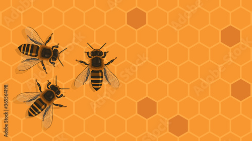 Detailed flat vector illustration of bees on top of a honeycomb background. World Bee Day.