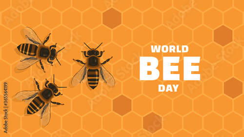 Detailed flat vector illustration of bees on top of a honeycomb background. World Bee Day.