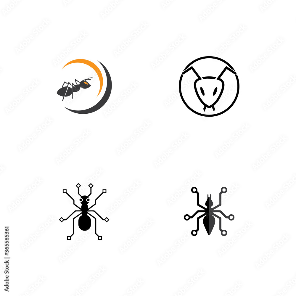 Ant vector illustration design