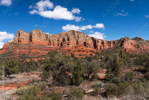 Gibraltar and Lee Mountain rise above the forest, with the landmark Baby Bell Rock in the middle. Located near Sedona Arizona, within the Coconino National Forest.
