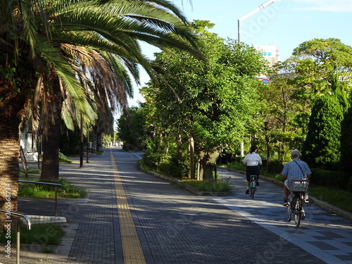 緑の歩道（新浦安）