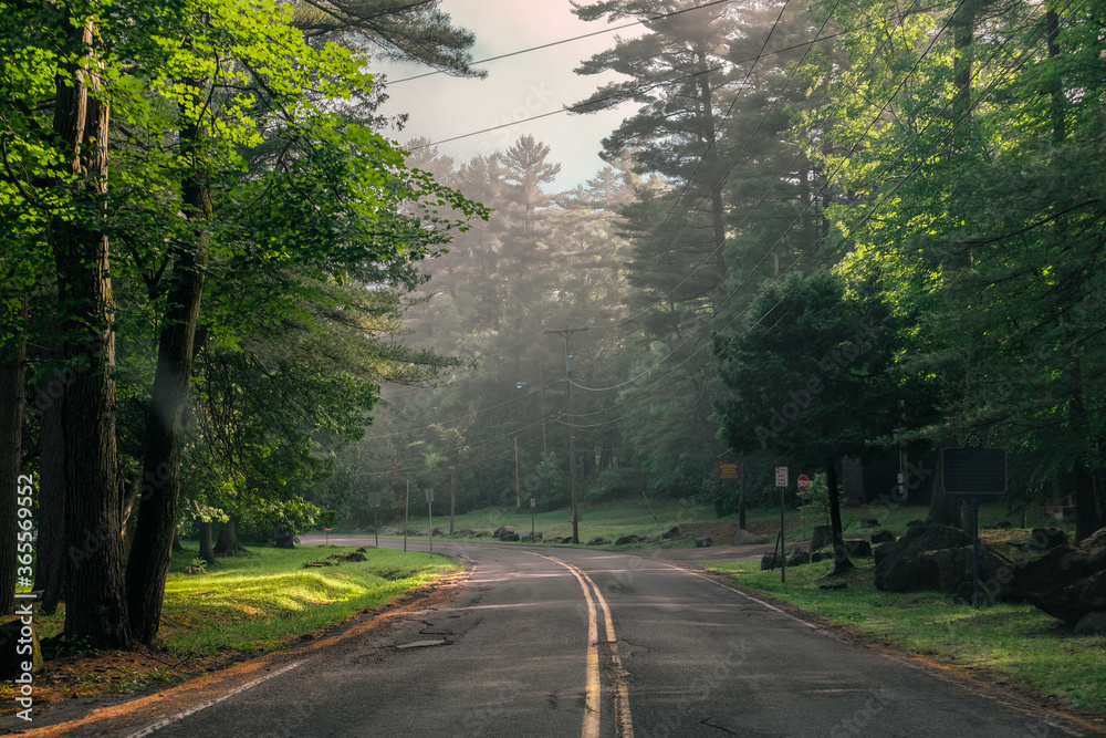 Obraz premium Foggy road in the Adirondack park