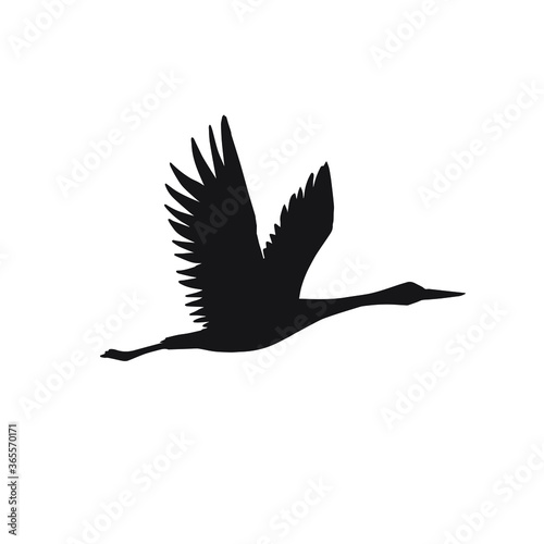 Vector black hand drawn flying crane bird silhouette isolated on white background