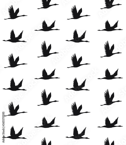 Vector seamless pattern of black hand drawn flying crane bird silhouette isolated on white background