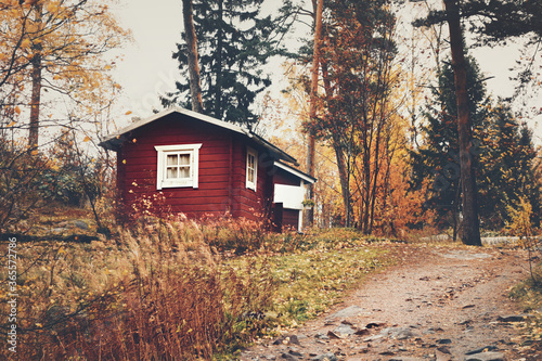 Red wooden house in orange autumn forest, Finland (Suomi) 