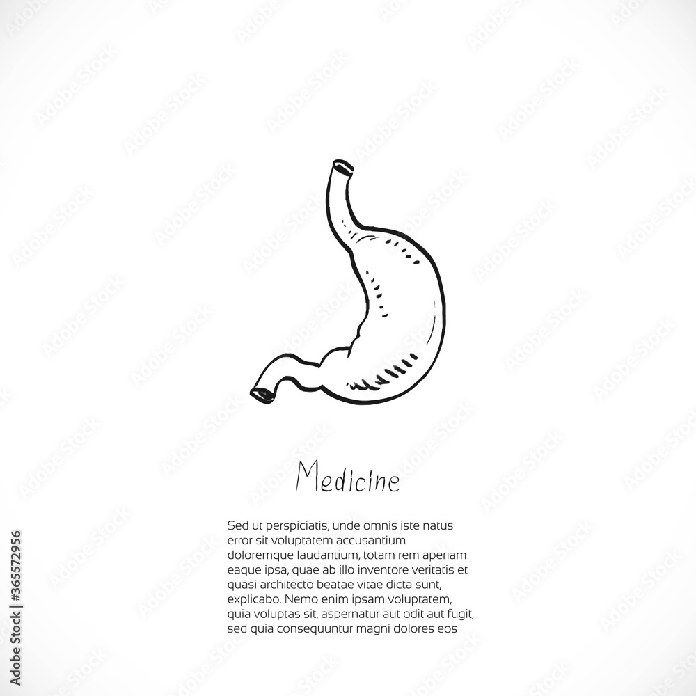 Obraz premium Medical doodle background with stomach for banner or flyer