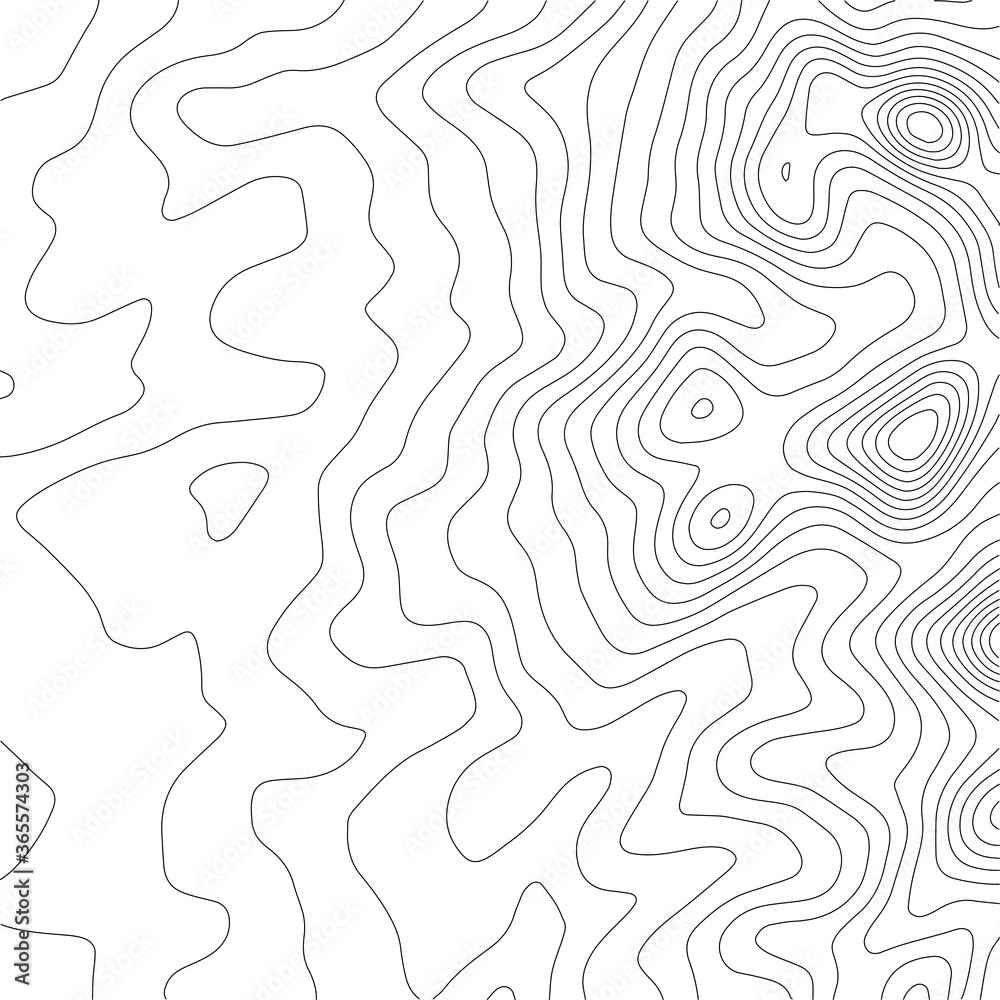 Abstract Topographic Contour Map Template. Abstract composition of black circles and lines on a white background. EPS10 Vector