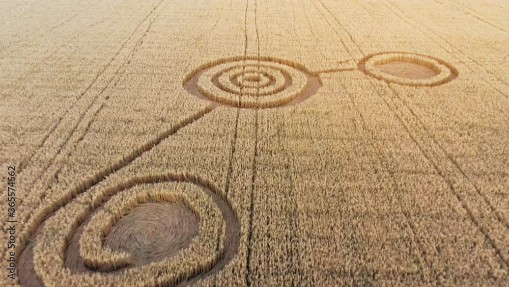 Mysterious mystical geometric signs in the middle of a wheat field. UFO left footprints in the field. Aerial 4k footage Mysterious mystical geometric signs in the middle of a wheat field. UFO left footprints in the field. Aerial 4k footage