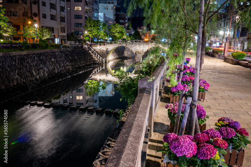 長崎 夜の眼鏡橋とあじさい 都市景観