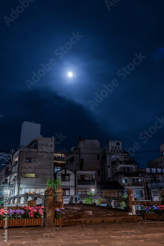 長崎 月夜の眼鏡橋とあじさい 都市景観
