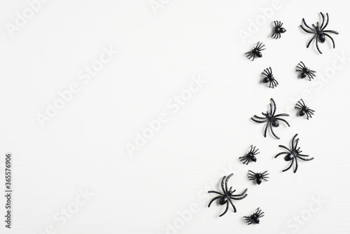 Halloween decorations concept. Spooky spiders on white background. Flat lay, top view, copy space. © photoguns