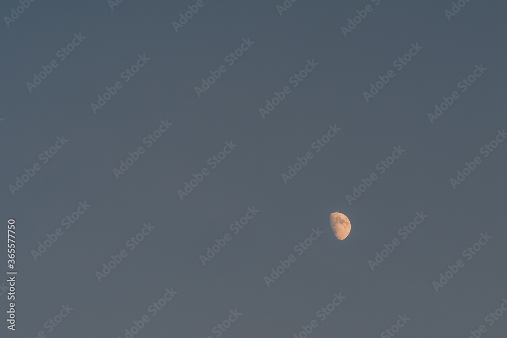 Half moon in cloudless blue sky Half moon in cloudless blue sky