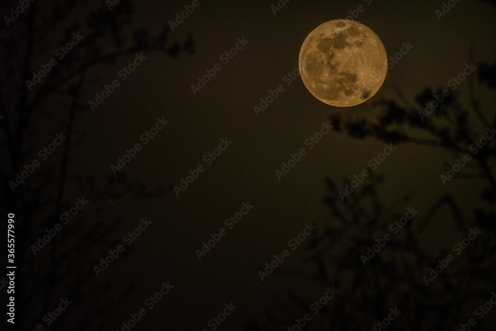 Fototapeta premium April waning gibbous moon