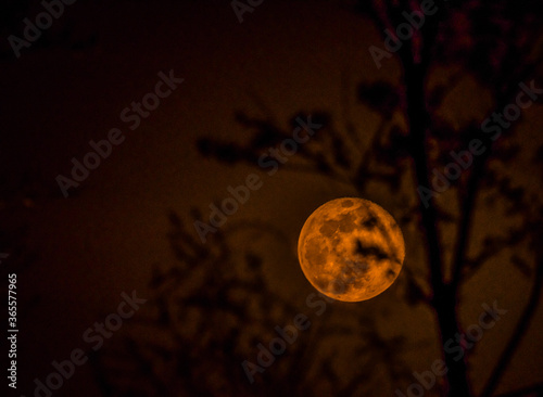 Foto April waning gibbous moon