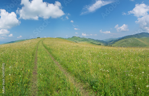 Beautiful rural landscape, country road. Green hills and blue sky with white clouds. Scenic summer view.