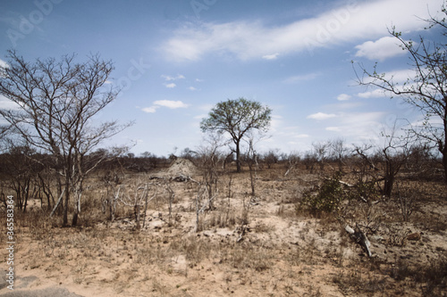 Sanvana, Kruger Park 