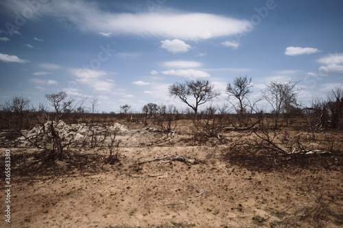 Sanvana, Kruger Park 
