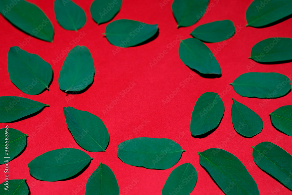 The rich green leaves were shot on a red background with empty space. The concept photo was shot for your progressive design. The rich green leaves were shot on a red background with empty space. The concept photo was shot for your progressive design.