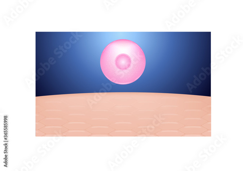 collagen , moisturizer and skin whitening vector , cosmetic