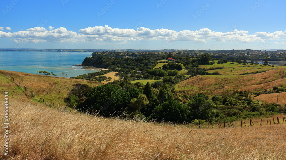 Scenic view of Shakespear Regional Park and Te Haruhi Bay in the Hauraki Gulf, from Whangaparaoa Peninsula, Auckland, New Zealand