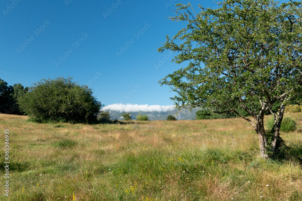 Hiking route through the Peña Tremaya. Palencia. Spain Hiking route through the Peña Tremaya. Palencia. Spain