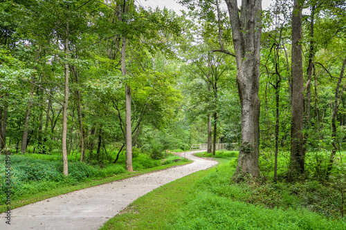 Paved greenway trail through the woods.