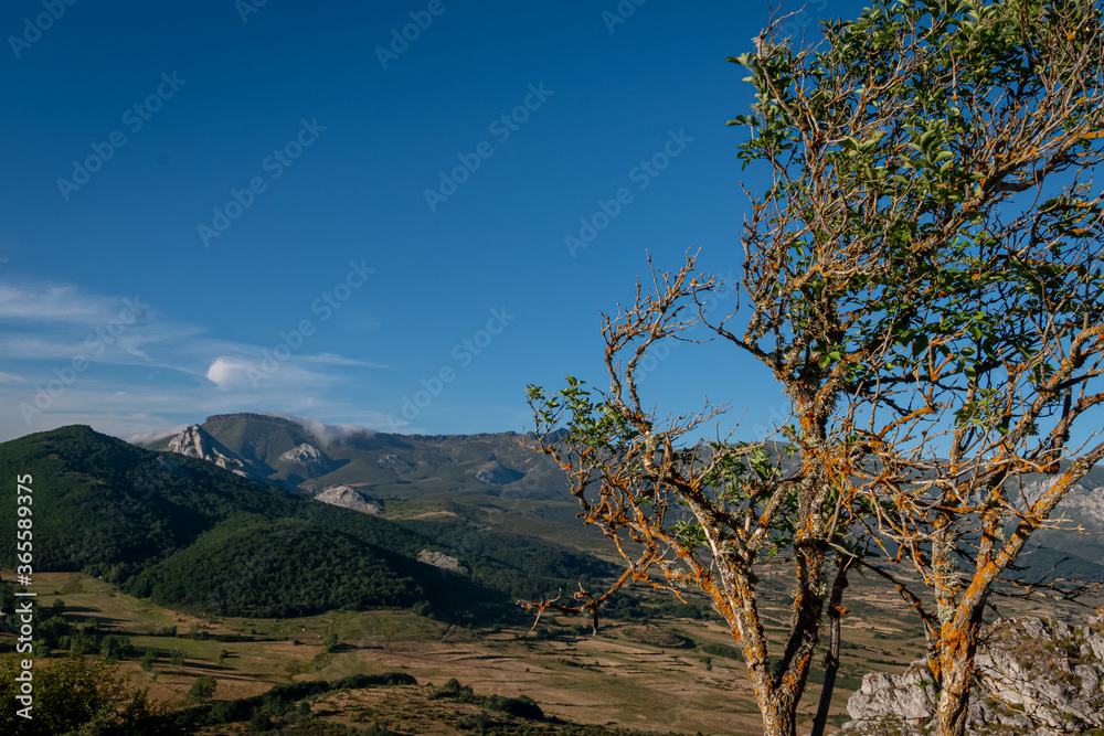Peñalabra from the Peña Tremaya. Palencia. Spain Peñalabra from the Peña Tremaya. Palencia. Spain
