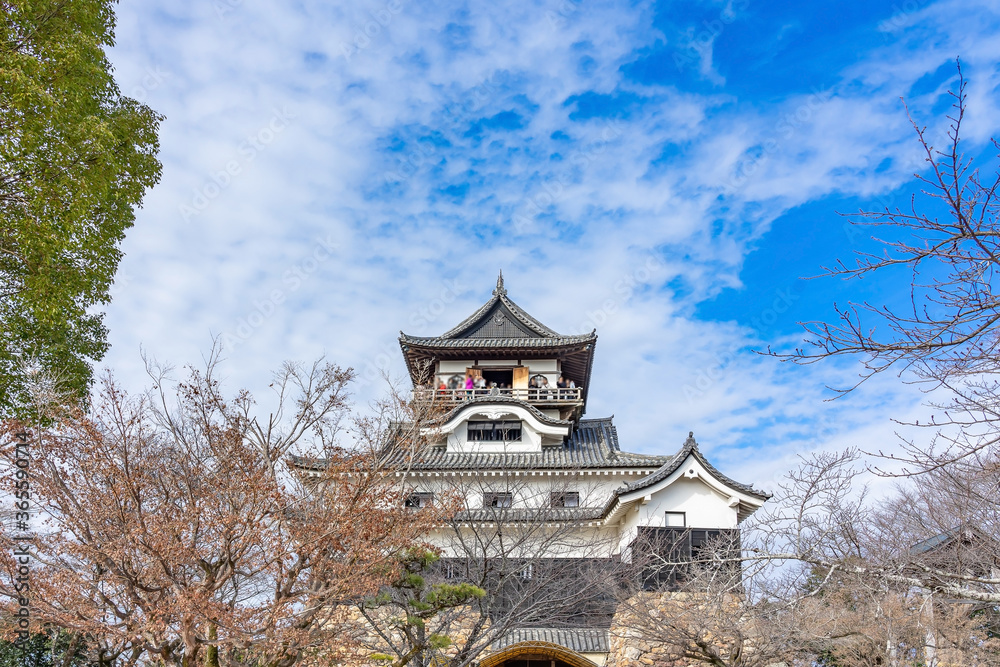 Inuyama castle and the garden in front of the castle in Aichi, Japan. This is a famous place of cherry blossoms in Inuyama City and there are about 40 cherry trees here. Inuyama castle and the garden in front of the castle in Aichi, Japan. This is a famous place of cherry blossoms in Inuyama City and there are about 40 cherry trees here.