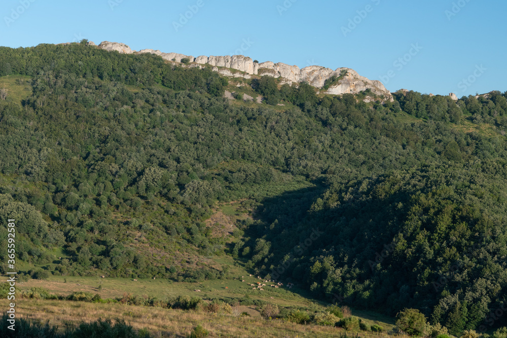 Panoramic view from the Peña Tremaya. Palencia. Spain Panoramic view from the Peña Tremaya. Palencia. Spain