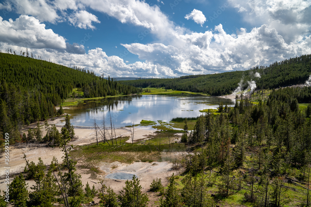 Pristine view of Nymph Lake in Yellowstone National Park, featuring lodgepole pines and thermal hot springs