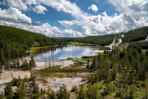 Fototapeta Naklejka Na Ścianę i Meble -  Pristine view of Nymph Lake in Yellowstone National Park, featuring lodgepole pines and thermal hot springs